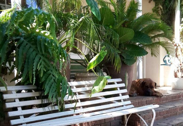 Mavilla Stellenbosch B&B Eksteriør bilde